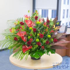 17�����̒����ŗ����͉y���j���z �a���� �A�E�ސE �����} ���� �җ� �J�X�J�� ���Ɠ��w �L�O�� �v���[���g �ԃL���[�s�b�g�̃��b�h�̉�