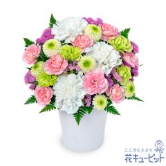 17�����̒����ŗ����͉y�y�b�g�p�t�����[�M�t�g�E�������z �� ���� ���� �@�v ���� �ԃL���[�s�b�g�̂������̃A�����W�����g ng01-5243