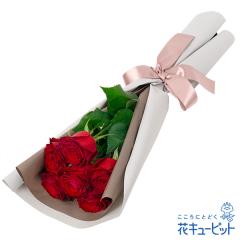 17�����̒����ŗ����͉y�����L�O���z �� �M�t�g ���j�� �v���[���g �v�w �c���� ����N �ԍ��� �⍥�� ������ �ԃL���[�s�b�g�̐ԃo��