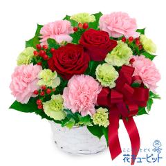 �y12���̒a���ԁi�ԃo���j�z  �a���� ���j�� �L�O�� �v���[���g ���� ���� �F�l �� �� �F�B  �ԃL���[�s�b�g�̐ԃo���ƃ��{���̃~�b�N�X