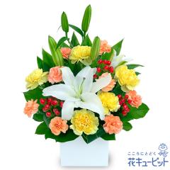 17�����̒����ŗ����͉y���j���z �a���� �A�E�ސE �����} ���� �җ� �J�X�J�� ���Ɠ��w �L�O�� �v���[���g �ԃL���[�s�b�g�̔������ƃI