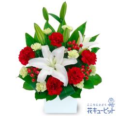 �y�a�����t�����[�M�t�g�z �a���� �v���[���g �� ���j�� �L�O�� �ގ��ޏ� �v�w �c���� �F�B �F�l �ԃL���[�s�b�g�̔������ƐԂ̃A�����W