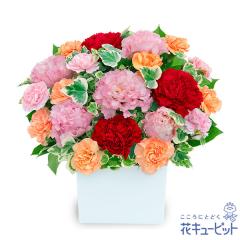 17�����̒����ŗ����͉y���j���z �a���� �A�E�ސE �����} ���� �җ� �J�X�J�� ���Ɠ��w �L�O�� �v���[���g �ԃL���[�s�b�g�̗D�����F��