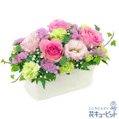 �y�a�����t�����[�M�t�g�E�o���z �a���� �v���[���g �� ���j�� �L�O�� �ގ��ޏ� �v�w �c���� �F�B �F�l �ԃL���[�s�b�g�̃s���N�o���̃~