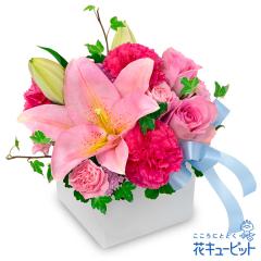 �y�a�����t�����[�M�t�g�z �a���� �v���[���g �� ���j�� �L�O�� �ގ��ޏ� �v�w �c���� �F�B �F�l �ԃL���[�s�b�g�̃����ƃs���N�̃L���[