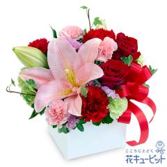 �y12���̒a���ԁi�ԃo���j�z  �a���� ���j�� �L�O�� �v���[���g ���� ���� �F�l �� �� �F�B  �ԃL���[�s�b�g�̃����ƐԂ̃L���[�u�A����