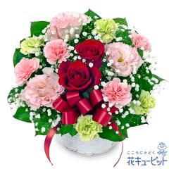 �y10���̒a���ԁi�o���j�z  �� �M�t�g �a���� ���j�� �L�O�� ����  �ԃL���[�s�b�g�̐ԃo���ƃ��{���̃A�����W�����g ya10-524334