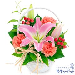 �y�a�����t�����[�M�t�g�z �a���� �v���[���g �� ���j�� �L�O�� �ގ��ޏ� �v�w �c���� �F�B �F�l �ԃL���[�s�b�g�̃����̃i�`�������ȃo