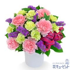 17�����̒����ŗ����͉y���j���z �a���� �A�E�ސE �����} ���� �җ� �J�X�J�� ���Ɠ��w �L�O�� �v���[���g �ԃL���[�s�b�g�̃s���N�Ǝ�