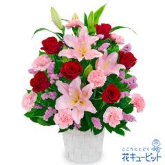 �y6���̒a���ԁi�����j�z  �� �a���� ���j�� �L�O�� �v���[���g �ގ��ޏ� �v�w �c���� �F�B �F�l  �ԃL���[�s�b�g�̃s���N�����Ɛԃo����