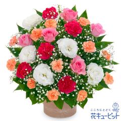 17�����̒����ŗ����͉y�J�X�j���E�J�Əj���z �� �M�t�g �J�� �ړ] ���z �L�O�� ���j�� �v���[���g �ԃL���[�s�b�g�̃s���N�o���ƃI��