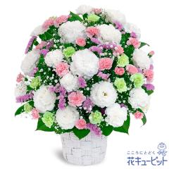 17�����̒����ŗ����͉y�������E������݂̌��ԁz ���� ���� �@�v �@�� ���� ���� ���� ���~ ���ފ� ���~�V�~ �l�\��� ����� �ԃL��