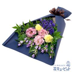 �y9���̒a���ԁi�����h�E�j�z  �M�t�g �a���� �v���[���g ���j�� �F�l �ޏ� �v�w �c���c�� �����j��  �ԃL���[�s�b�g�̃����h�E�ƃg���R