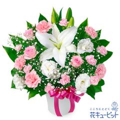 17�����̒����ŗ����͉y�����L�O���z �� �M�t�g ���j�� �v���[���g �v�w �c���� ����N �ԍ��� �⍥�� ������ �ԃL���[�s�b�g�̃�����