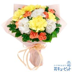 17�����̒����ŗ����͉y�o�Y�j���z �� �M�t�g ���j�� �L�O�� �}�} �Ԃ���� �v���[���g �ԃL���[�s�b�g�̃C�G���[�J�[�l�[�V�����̉ԑ�