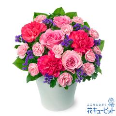 17�����̒����ŗ����͉y�o�Y�j���z �� �M�t�g ���j�� �L�O�� �}�} �Ԃ���� �v���[���g �ԃL���[�s�b�g�̃s���N�o���̉؂₩�ȃA�����W