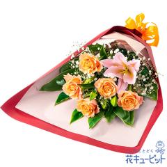 �y6���̒a���ԁi�����j�z  �� �a���� ���j�� �L�O�� �v���[���g �ގ��ޏ� �v�w �c���� �F�B �F�l  �ԃL���[�s�b�g�̃����ƃI�����W�o����
