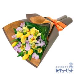 �y2���̒a���ԁi�`���[���b�v�j�z  �a���� ���j�� �L�O�� �v���[���g �Ƒ� �F�l �ގ��ޏ� �v�� �c���c��  �ԃL���[�s�b�g�̃`���[���b�v