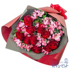 �y4���̒a���ԁi�A���X�g�������A�j�z  ���j�� �L�O�� ���� �a���� �v���[���g  �ԃL���[�s�b�g�̐ԃo���ƃA���X�g�������A�̍��؂ȉԑ� 