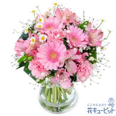 �y4���̒a���ԁi�A���X�g�������A�j�z  ���j�� �L�O�� ���� �a���� �v���[���g  �ԃL���[�s�b�g�̃s���N�A���X�g�������A�̃O���X�u�[�P