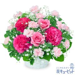 �y5���̒a���ԁi�s���N�o���j�z  ���� ���j�� �L�O�� �a���� ���� �v���[���g ���� �� �`�� �c�� �� �j�� �c��  �ԃL���[�s�b�g�̃s���N