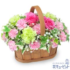 �y5���̒a���ԁi�s���N�o���j�z  ���� ���j�� �L�O�� �a���� ���� �v���[���g ���� �� �`�� �c�� �� �j�� �c��  �ԃL���[�s�b�g�̃s���N