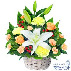 �y6���̒a���ԁi�����j�z  �� �a���� ���j�� �L�O�� �v���[���g �ގ��ޏ� �v�w �c���� �F�B �F�l  �ԃL���[�s�b�g�̔������̃A�����W����
