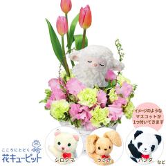 �y2���̒a���ԁi�`���[���b�v�j�z  �a���� ���j�� �L�O�� �v���[���g �Ƒ� �F�l �ގ��ޏ� �v�� �c���c��  �ԃL���[�s�b�g�̃`���[���b�v