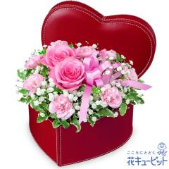 �y5���̒a���ԁi�s���N�o���j�z  ���� ���j�� �L�O�� �a���� ���� �v���[���g ���� �� �`�� �c�� �� �j�� �c��  �ԃL���[�s�b�g�̃s���N
