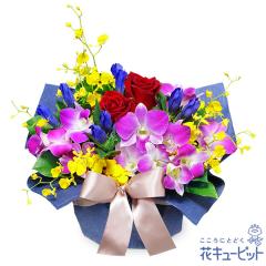 �y9���̒a���ԁi�����h�E�j�z  �M�t�g �a���� �v���[���g ���j�� �F�l �ޏ� �v�w �c���c�� �����j��  �ԃL���[�s�b�g��9���̃o�[�X�f�[�A