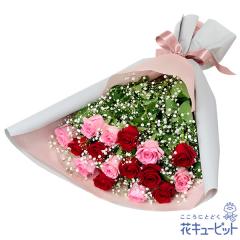 �y5���̒a���ԁi�s���N�o���j�z  ���� ���j�� �L�O�� �a���� ���� �v���[���g ���� �� �`�� �c�� �� �j�� �c��  �ԃL���[�s�b�g�̐ԃo��