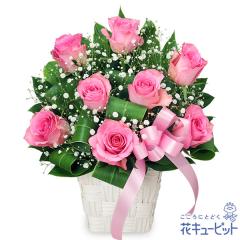 �y5���̒a���ԁi�s���N�o���j�z  ���� ���j�� �L�O�� �a���� ���� �v���[���g ���� �� �`�� �c�� �� �j�� �c��  �ԃL���[�s�b�g�̃s���N