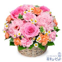 �y5���̒a���ԁi�s���N�o���j�z  ���� ���j�� �L�O�� �a���� ���� �v���[���g ���� �� �`�� �c�� �� �j�� �c��  �ԃL���[�s�b�g�̃s���N