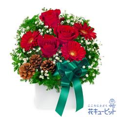 �y12���̒a���ԁi�ԃo���j�z  �a���� ���j�� �L�O�� �v���[���g ���� ���� �F�l �� �� �F�B  �ԃL���[�s�b�g�̐ԃo���̃N���X�}�X���A��