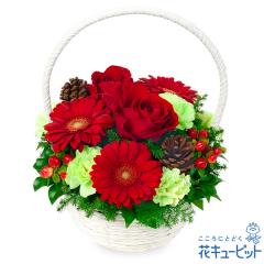 �y12���̒a���ԁi�ԃo���j�z  �a���� ���j�� �L�O�� �v���[���g ���� ���� �F�l �� �� �F�B  �ԃL���[�s�b�g�̐ԃo���̃E�B���^�[���o�X