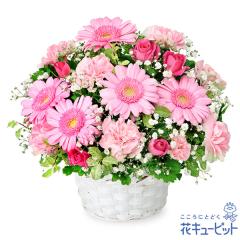 �y3���̒a���ԁi�s���N�K�[�x���j�z  �a���� ���j�� �L�O�� �v���[���g �Ƒ� �F�l  �ԃL���[�s�b�g�̃s���N�K�[�x���̃A�����W�����g ya0