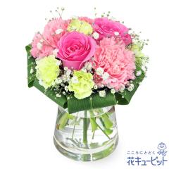 �y5���̒a���ԁi�s���N�o���j�z  ���� ���j�� �L�O�� �a���� ���� �v���[���g ���� �� �`�� �c�� �� �j�� �c��  �ԃL���[�s�b�g�̃s���N