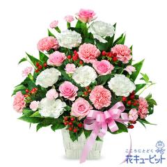 �y5���̒a���ԁi�s���N�o���j�z  ���� ���j�� �L�O�� �a���� ���� �v���[���g ���� �� �`�� �c�� �� �j�� �c��  �ԃL���[�s�b�g�̃s���N