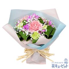 �y9���̒a���ԁi�����h�E�j�z  �M�t�g �a���� �v���[���g ���j�� �F�l �ޏ� �v�w �c���c�� �����j��  �ԃL���[�s�b�g�̃s���N�����h�E��