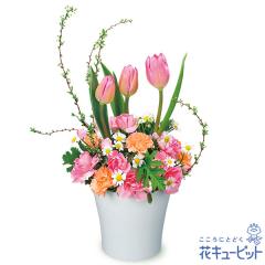 �y2���̒a���ԁi�`���[���b�v�j�z  �a���� ���j�� �L�O�� �v���[���g �Ƒ� �F�l �ގ��ޏ� �v�� �c���c��  �ԃL���[�s�b�g�̃`���[���b�v