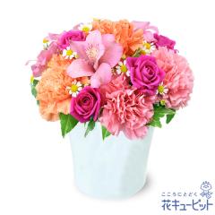 �y4���̒a���ԁi�A���X�g�������A�j�z  ���j�� �L�O�� ���� �a���� �v���[���g  �ԃL���[�s�b�g�̃A���X�g�������A�̃s���N�A�����W����