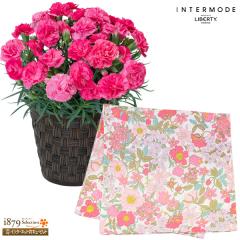 �y��̓� �Y���Ԕ��A���z  ���� �� �c�� �a���� ���j�� �L�O�� �v���[���g  �ԃL���[�s�b�g�̃J�[�l�[�V�����̔��A���i�s���N�j�Ɓy���o