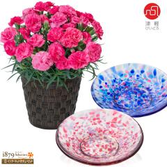 �y��̓� �Y���Ԕ��A���z  ���� �� �c�� �a���� ���j�� �L�O�� �v���[���g  �ԃL���[�s�b�g�̃J�[�l�[�V�����̔��A���i�s���N�j�Ɓy�Ìy