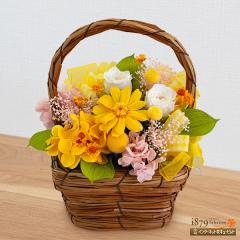 �y��̓��v���U�[�u�h�t�����[�z  2026�N ����� �a���� ���j��  �ԃL���[�s�b�g�̍K���ȉ��F���Ԃ̃v���U�[�u�h�t�����[�o�X�P�b�g mt30