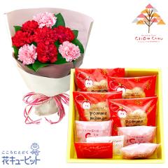 �y��̓��Z�b�g�M�t�g�z  ���j�� ���� �a���� �c�� �`�� �v���[���g  �ԃL���[�s�b�g�̃J�[�l�[�V�����̉ԑ��i���b�h�j�Ɓy�V���V���z��