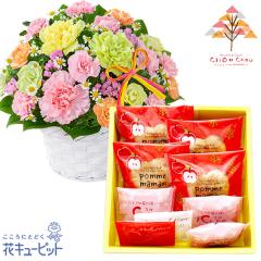 �y��̓��Z�b�g�M�t�g�z  ���j�� ���� �a���� �c�� �`�� �v���[���g  �ԃL���[�s�b�g�̃J�[�l�[�V�����̃~�b�N�X�A�����W�����g�Ɓy�V��