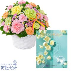 �y��̓��Z�b�g�M�t�g�z  ���j�� ���� �a���� �c�� �`�� �v���[���g  �ԃL���[�s�b�g�̃J�[�l�[�V�����̃~�b�N�X�A�����W�����g�Ɓy����