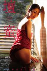 壇蜜 わけありな旅vol.3 2011−2019 Premium archive デジタル写真集