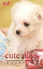 cute dogs32 }`[Y