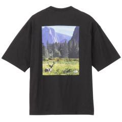�U�E�m�[�X�E�t�F�C�X T�V���c ���� �����Y ���f�B�[�X SS YOSEMITE SNY T NT32436-K2 �m�[�X�t�F�C�X THE NORTH FACE